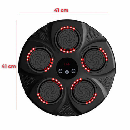 PANEL DE BOXEO + GUANTES