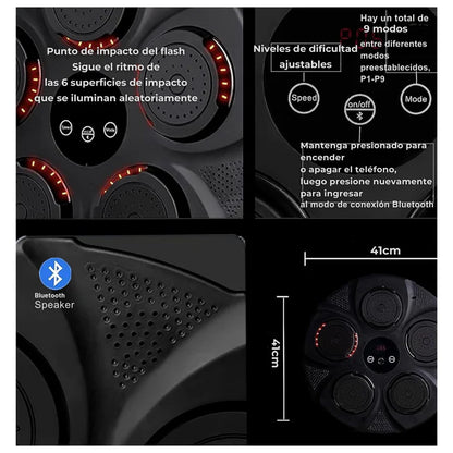 PANEL DE BOXEO + GUANTES