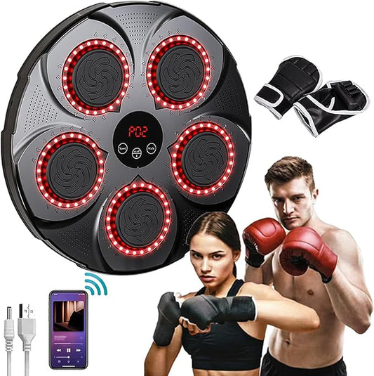 PANEL DE BOXEO + GUANTES